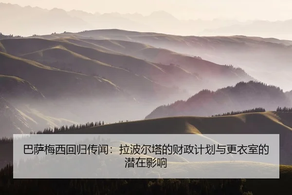 ba-sa-mei-xi-hui-gui-chuan-wen-la-bo-er-ta-de-cai-zheng-ji-hua-yu-geng-yi-shi-de-qian-zai-ying-xiang-2-741.jpg