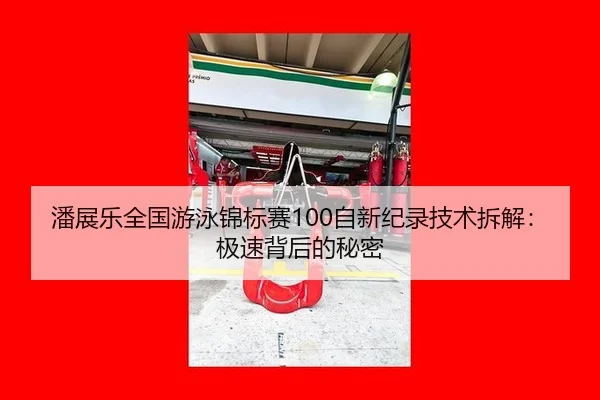 pan-zhan-le-quan-guo-you-yong-jin-biao-sai-zi-xin-ji-lu-ji-shu-chai-jie-ji-su-bei-hou-de-mi-mi-2-370.jpg