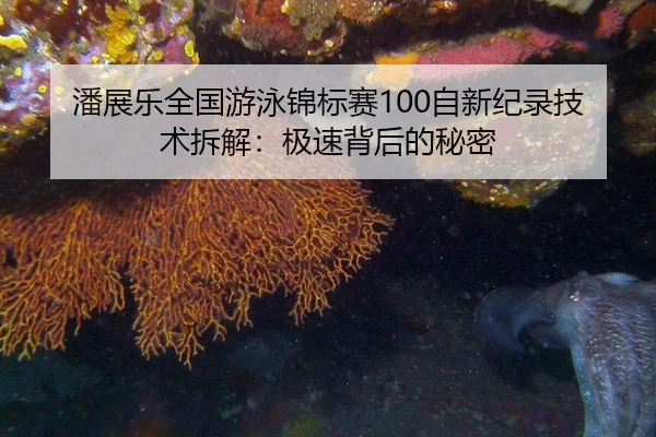 潘展乐全国游泳锦标赛100自新纪录技术拆解：极速背后的秘密